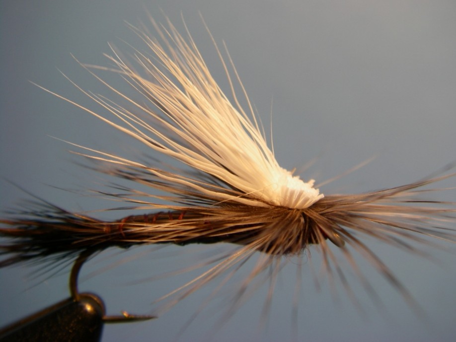 TiltShoot Iso Dry Isonychia Fly Pattern How to tie