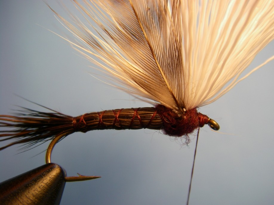 TiltShoot Iso Dry Isonychia Fly Pattern How to tie