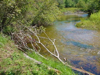 Boardman River Bank Restoration - Current Works Guide Service