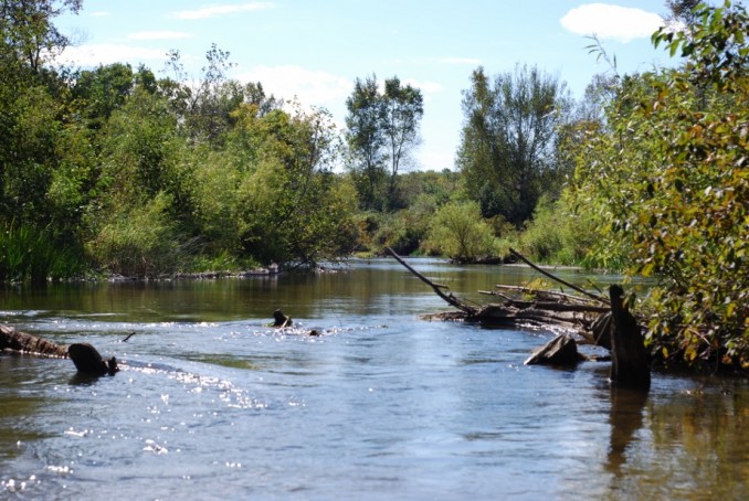 Seductive Streamer Fly Fishing - A downsized approach to streamer fishing