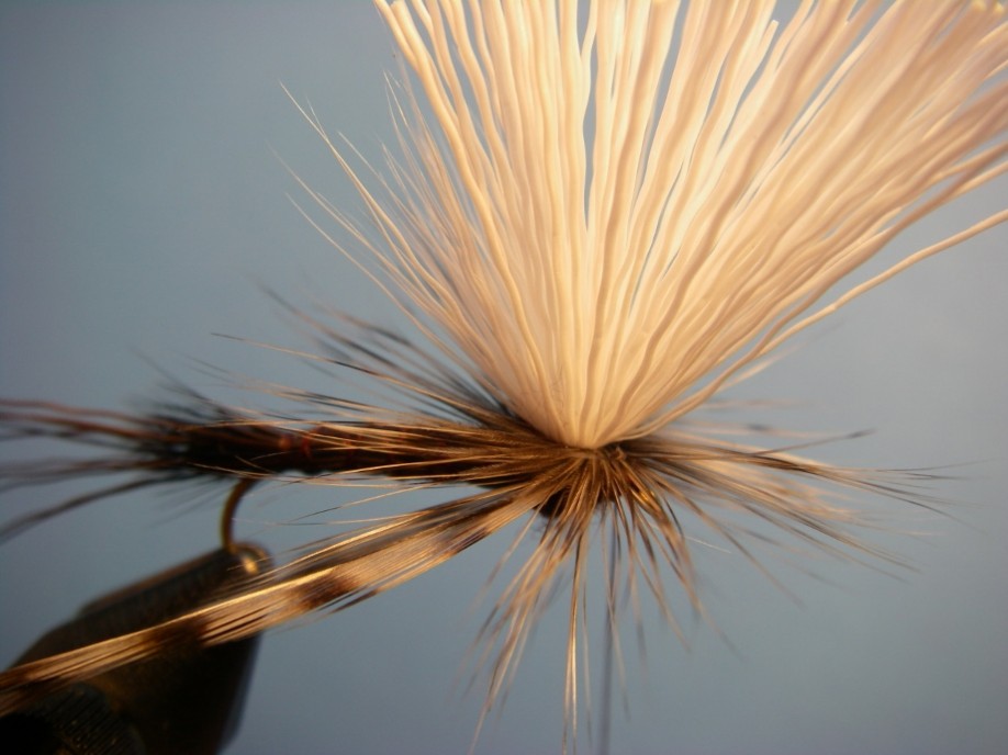 Tilt-Shoot Iso Dry - Isonychia Fly Pattern - How to tie