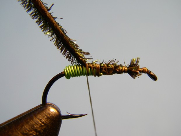 Green Butt Soft Hackle Diving Caddis