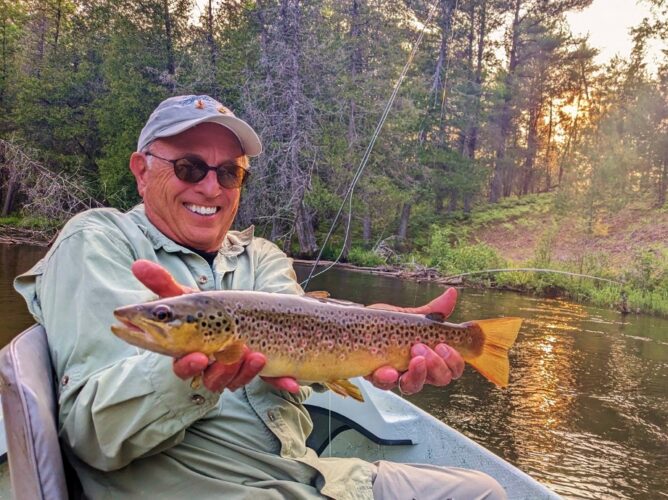 Clumsy Brown Stone and Brown Trout